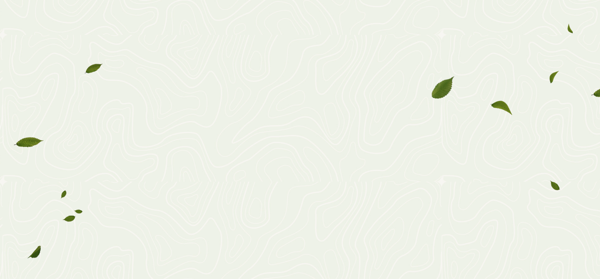 Abstract organic background pattern