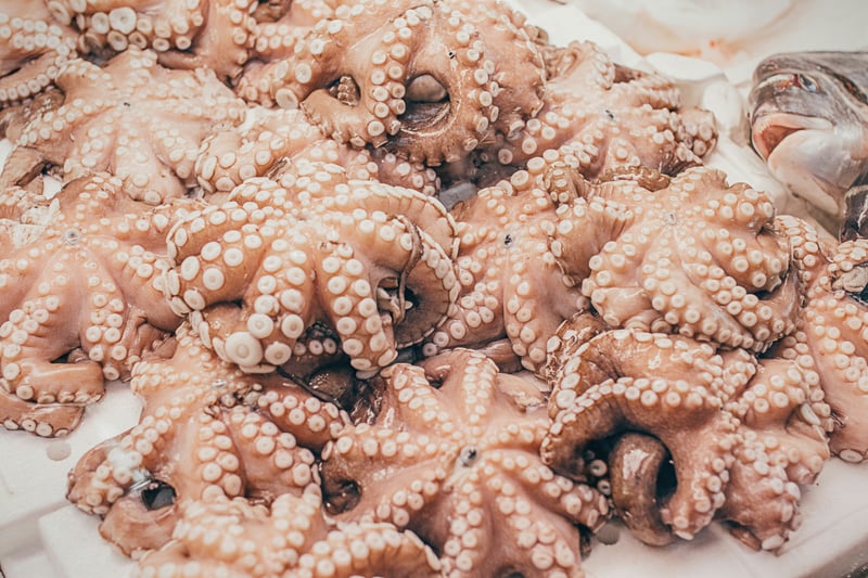 Octopus